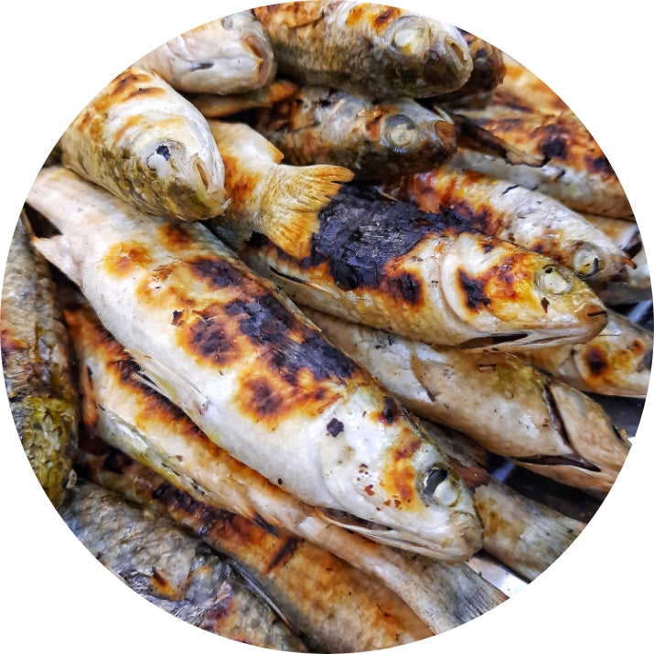 BBQ Fish